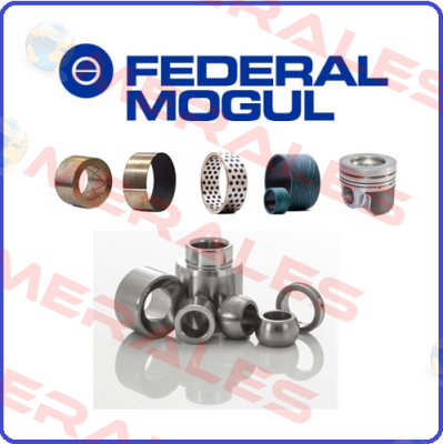 Federal Mogul