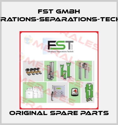 FST GmbH Filtrations-Separations-Technik