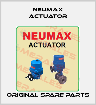 Neumax Actuator