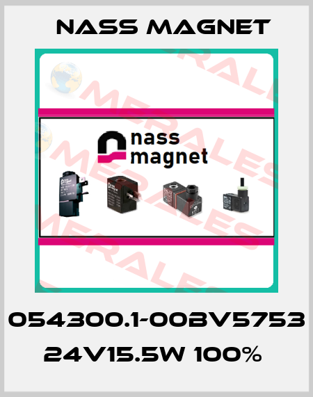 054300.1-00BV5753 24V15.5W 100%  Nass Magnet