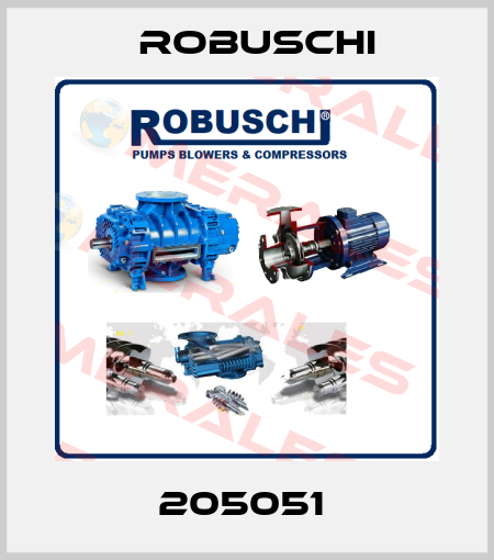 205051  Robuschi