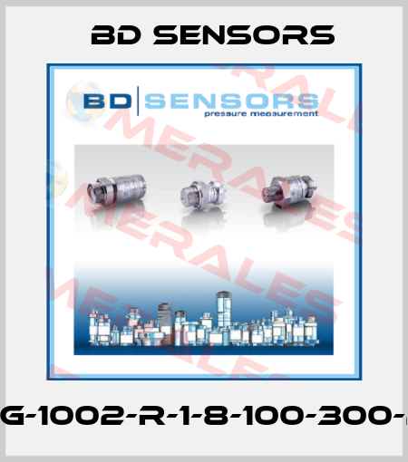 30.600G-1002-R-1-8-100-300-2-1-000 Bd Sensors