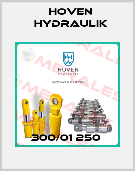 300/01 250  Hoven Hydraulik