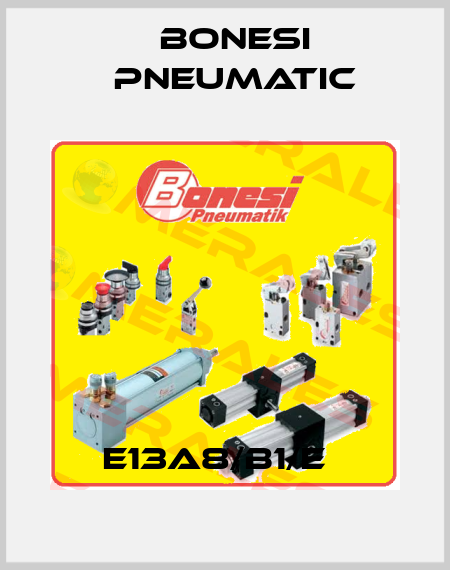 E13A8/B1/E   Bonesi Pneumatic