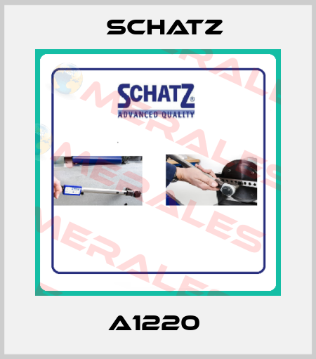 A1220  Schatz