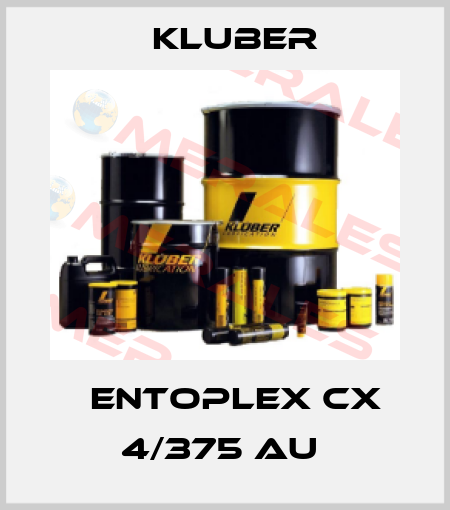Сentoplex cx 4/375 au  Kluber