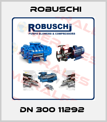 DN 300 11292  Robuschi