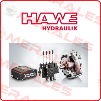 3100 0075-00 (DS 6014) Hawe