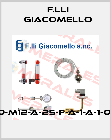 LV-500-M12-A-25-F-A-1-A-1-0-A-0-0 F.lli Giacomello
