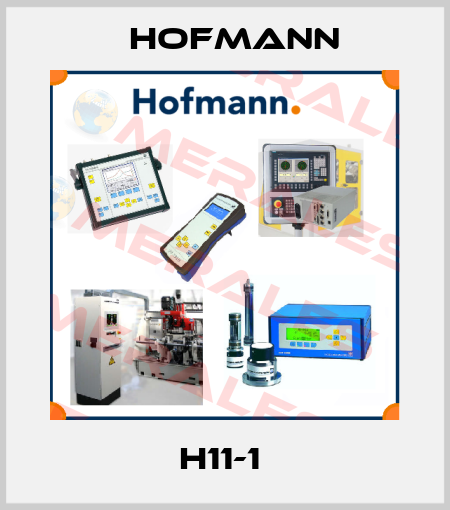  H11-1  Hofmann
