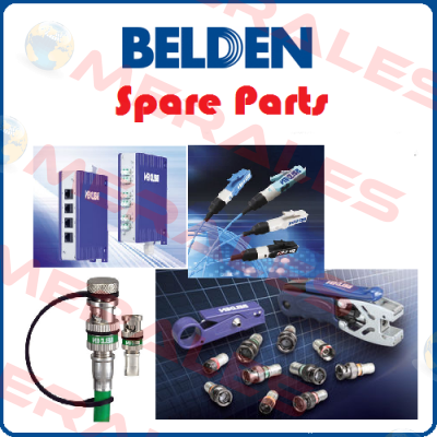 324966  Belden (Lumberg / Hirschmann)