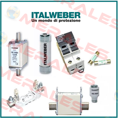 0340160  Italweber