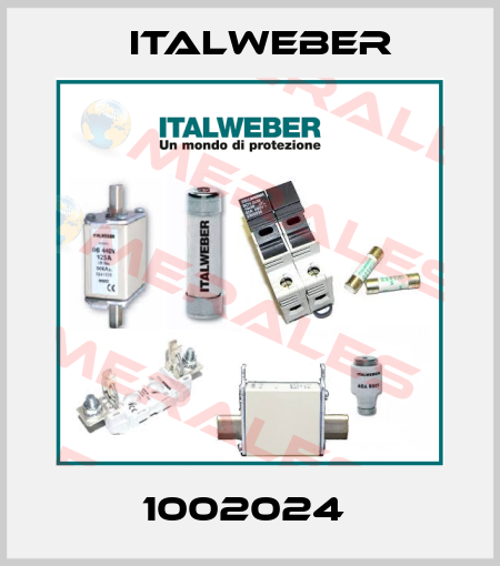 1002024  Italweber