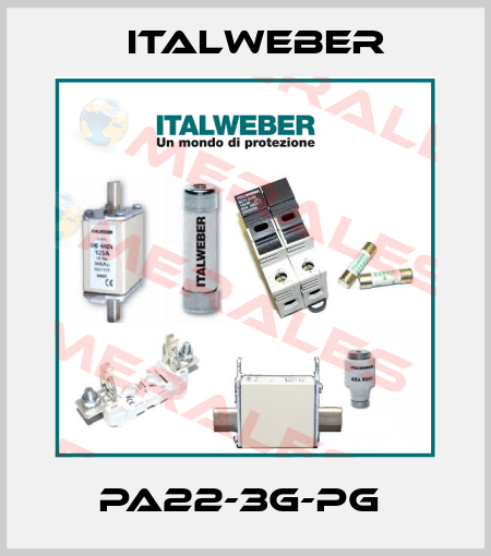 PA22-3G-PG  Italweber
