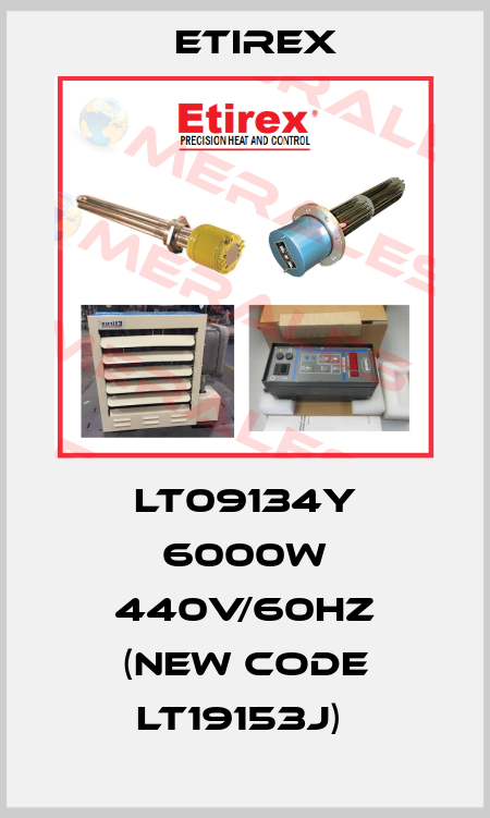 LT09134Y 6000W 440V/60Hz (new code LT19153j)  Etirex