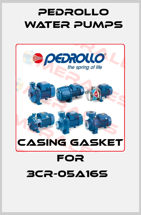 casing gasket for 3CR-05A16S   Pedrollo Water Pumps
