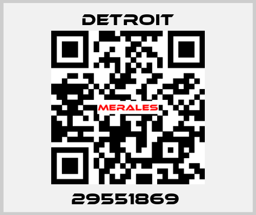 29551869  Detroit