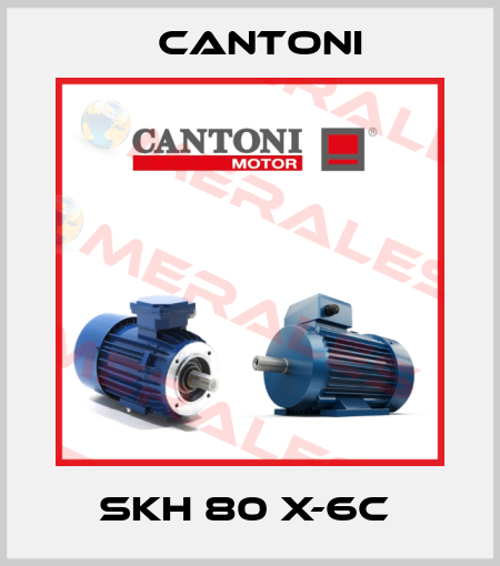 SKH 80 X-6C  Cantoni
