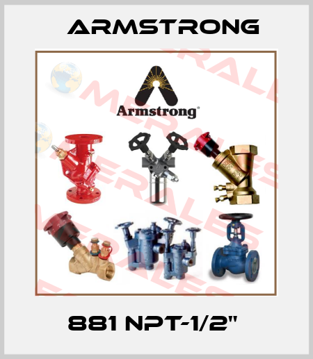 881 NPT-1/2"  Armstrong