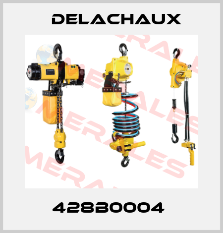 428B0004  Delachaux