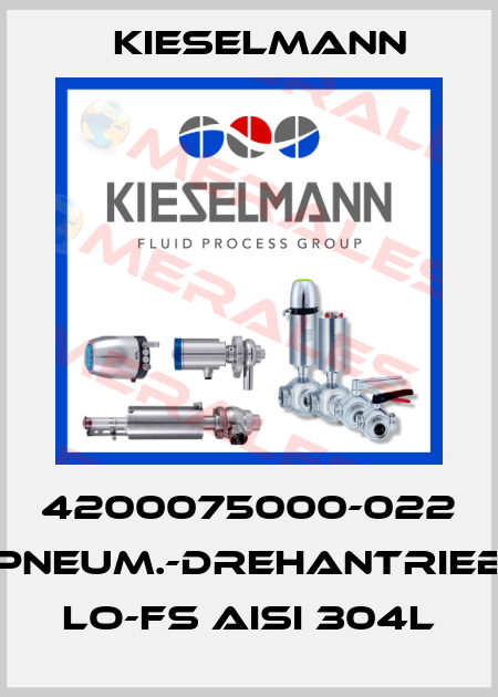 4200075000-022 PNEUM.-DREHANTRIEB LO-FS AISI 304L Kieselmann