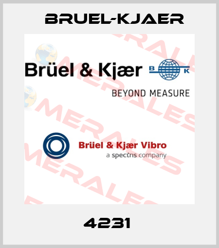 4231  Bruel-Kjaer
