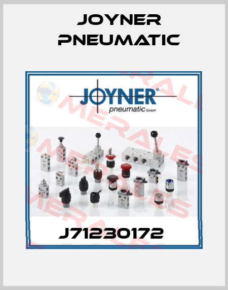 J71230172  Joyner Pneumatic