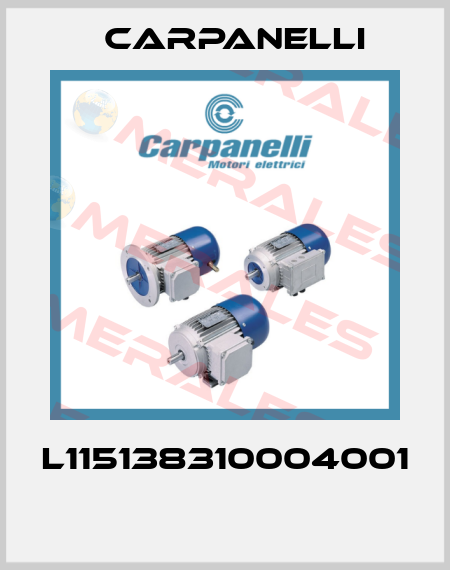 L115138310004001  Carpanelli