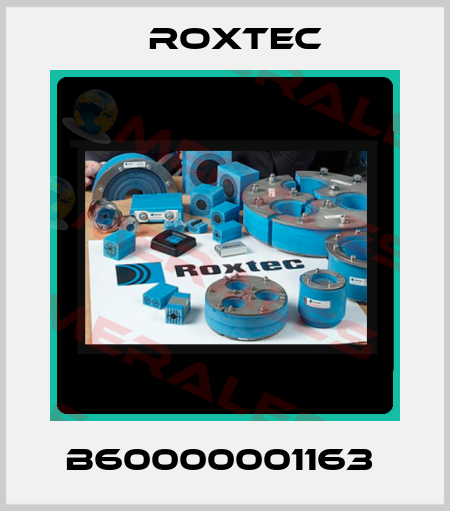 B60000001163  Roxtec