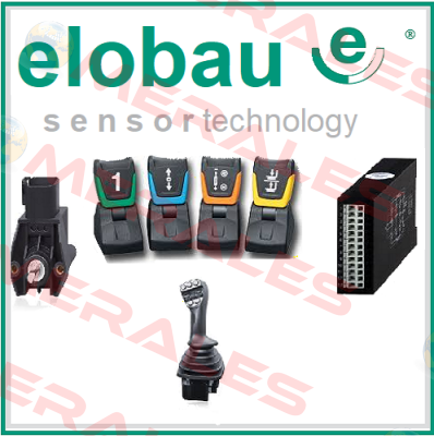 46212H1 SAFETY CONTROL UNIT  Elobau