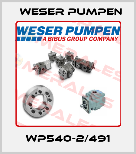 WP540-2/491 Weser Pumpen
