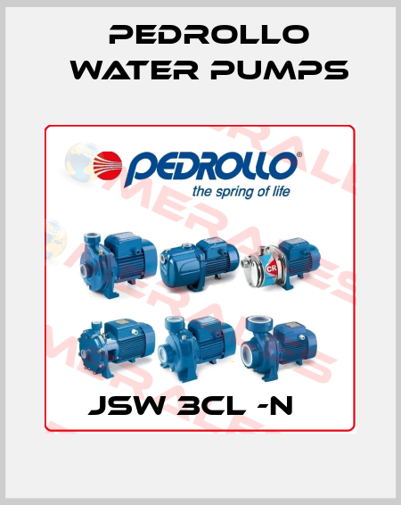 JSW 3CL -N   Pedrollo Water Pumps
