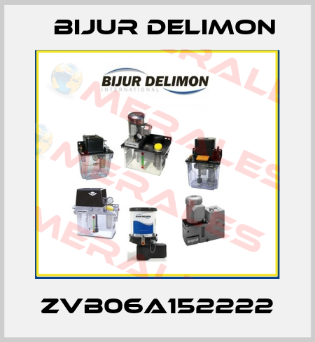 ZVB06A152222 Bijur Delimon