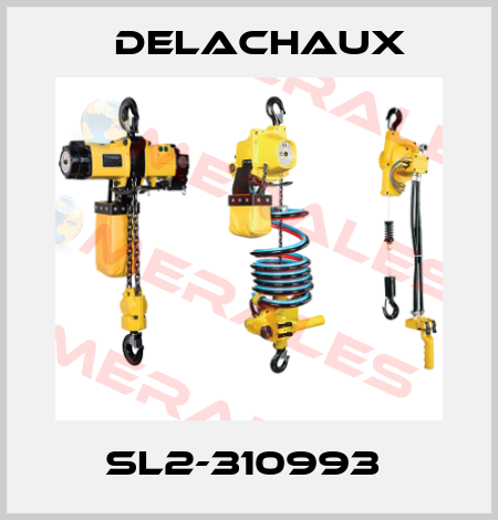 SL2-310993  Delachaux