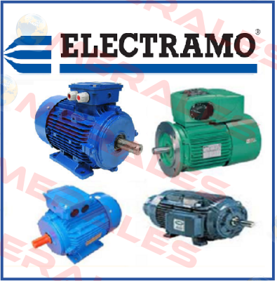 085050003  Electramo