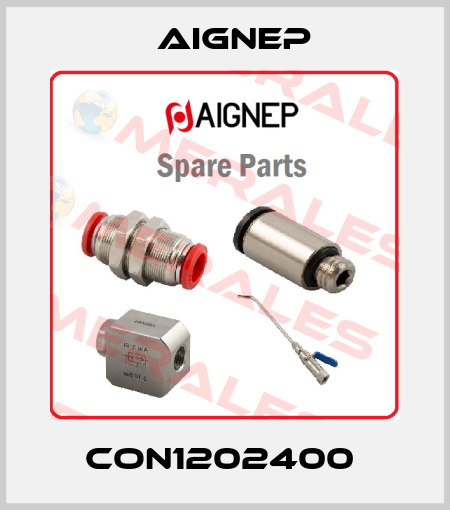 CON1202400  Aignep