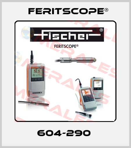 604-290  Feritscope®