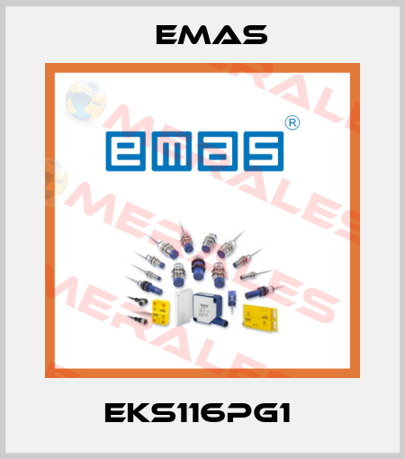 EKS116PG1  Emas