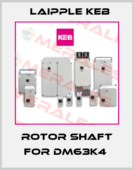 Rotor Shaft For DM63K4  LAIPPLE KEB