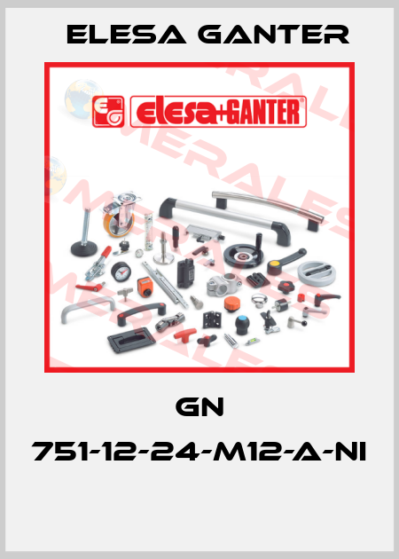 GN 751-12-24-M12-A-NI  Elesa Ganter