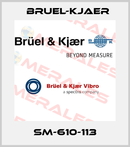 SM-610-113 Bruel-Kjaer