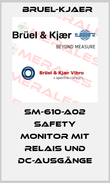 SM-610-A02 Safety Monitor mit Relais und DC-Ausgänge Bruel-Kjaer