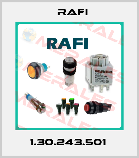 1.30.243.501  Rafi