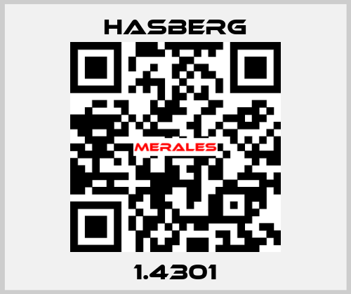 1.4301  Hasberg