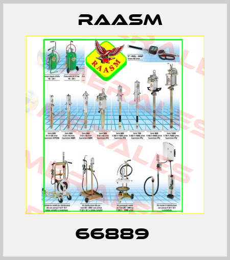 66889  Raasm