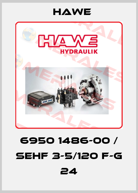 6950 1486-00 / SEHF 3-5/120 F-G 24 Hawe