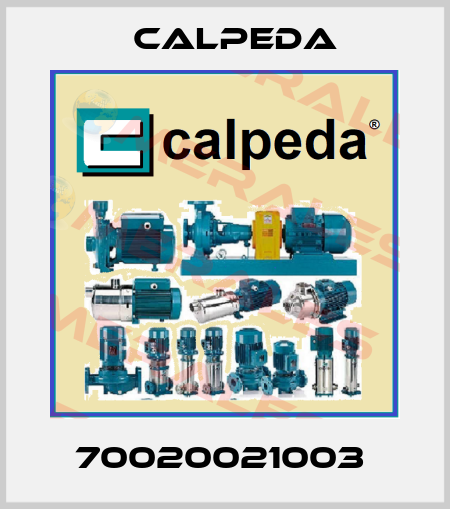 70020021003  Calpeda