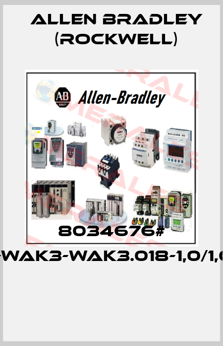 8034676# FSM4-WAK3-WAK3.018-1,0/1,0/P100  Allen Bradley (Rockwell)