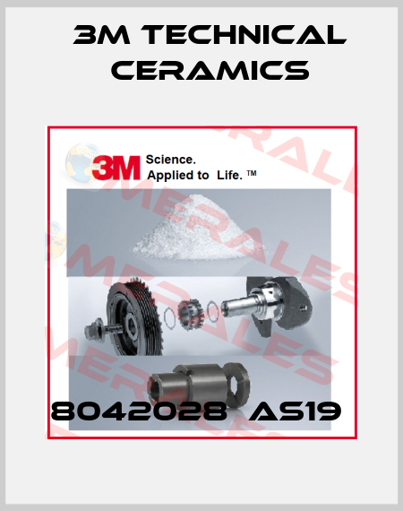 8042028  AS19  3M Technical Ceramics