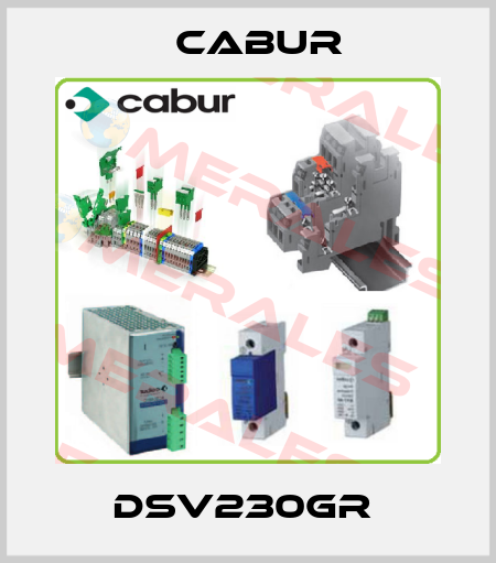 DSV230GR  Cabur